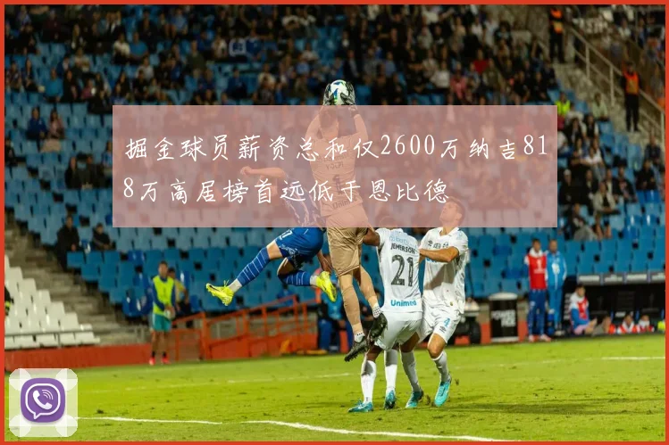 掘金球员薪资总和仅2600万纳吉818万高居榜首远低于恩比德
